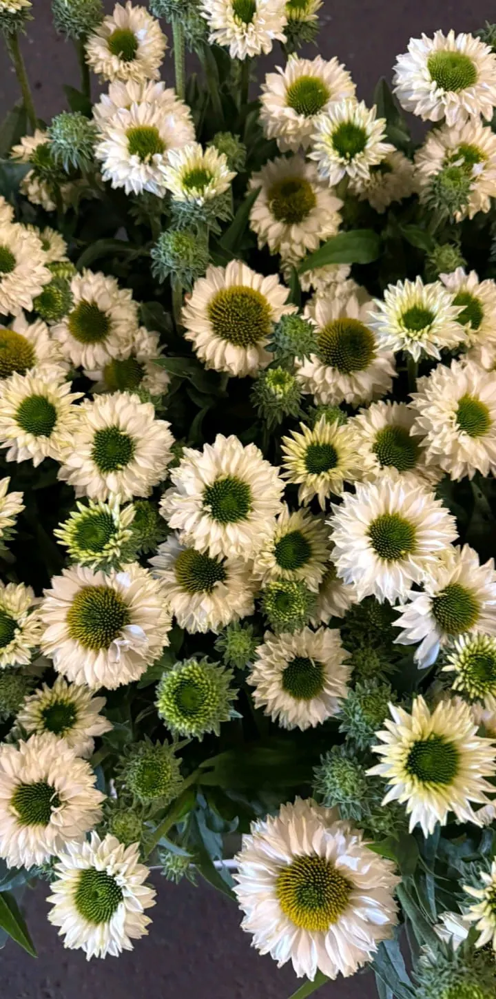Composition florale pour événement - mariage, baptême, communion, deuil