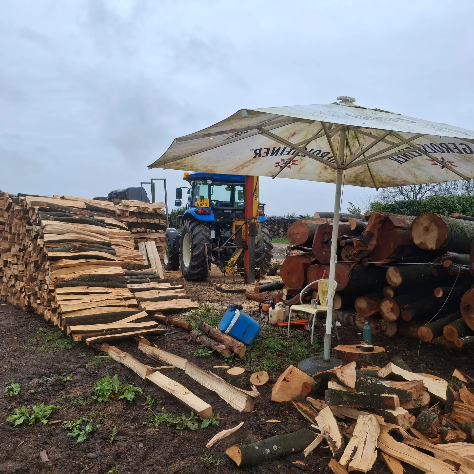 Exploitation forestière - abattage, élagage et bois de chauffage